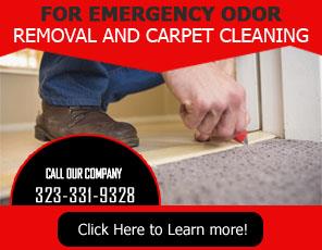 Our Services - Carpet Cleaning Huntington Park, CA