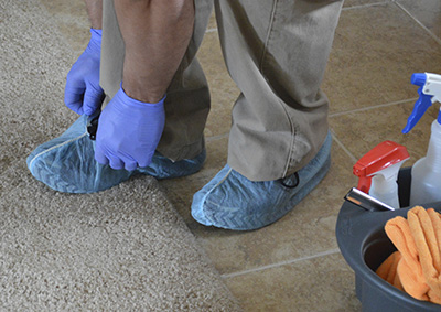 Protecting Rugs from Water Damage