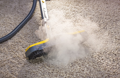 Green Homes with Carpet Cleaning Eco-Products